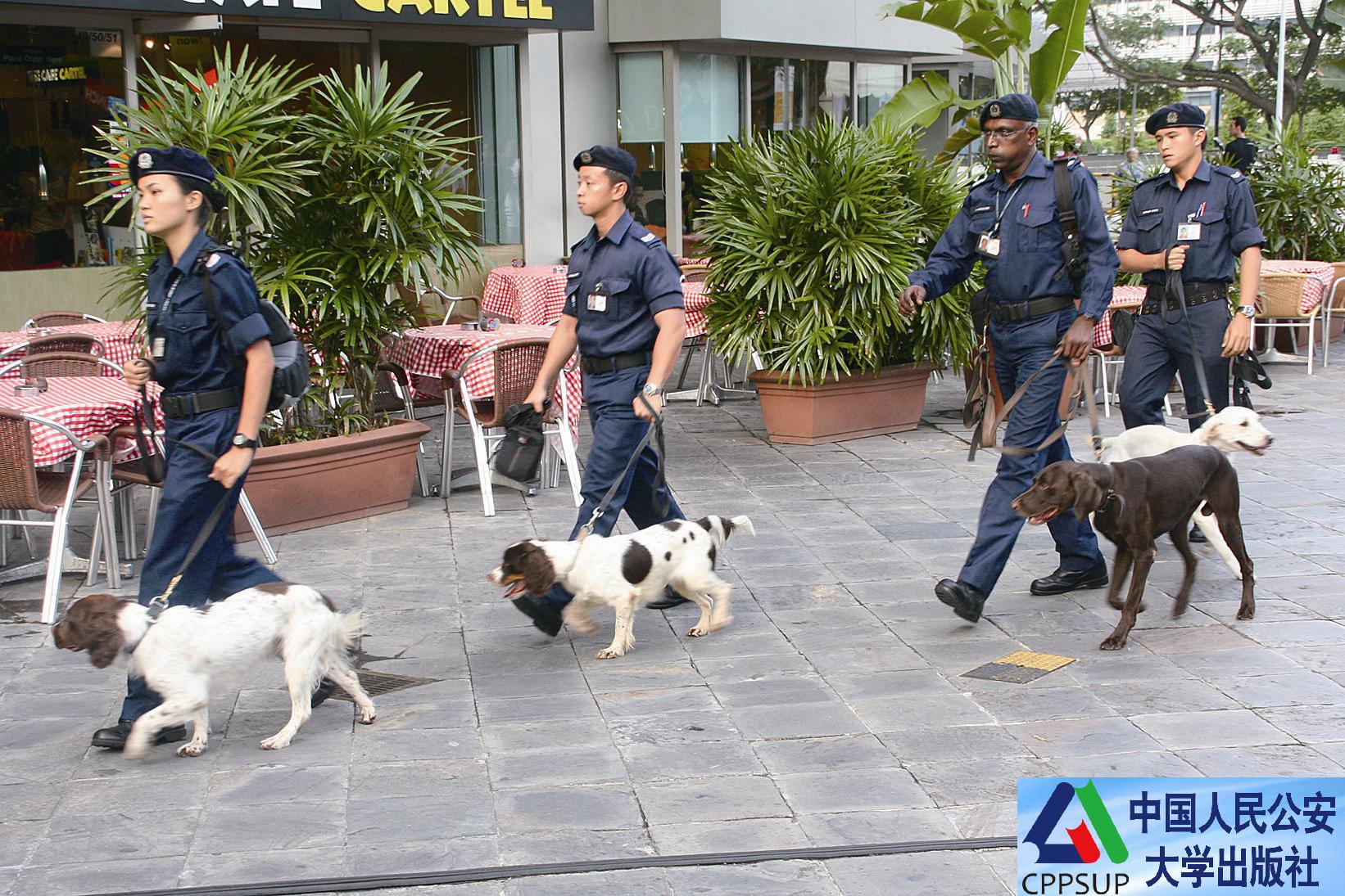 有温有厉的执法先锋--新加坡警察部队