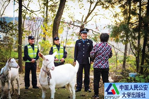 按住Ctrl键+鼠标滚轮缩放
